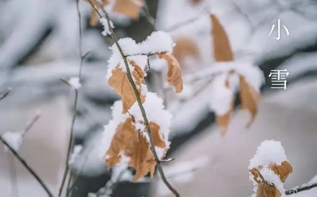 Μικρό χιόνι - Τι πρέπει να γνωρίζετε
